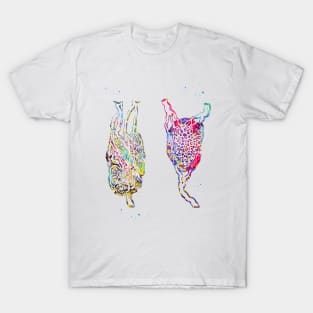 Lymph node T-Shirt